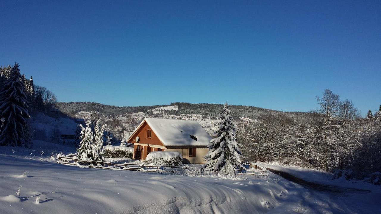 LE BOIS JOLI Chalet 4 étoiles CLEDICIHOME Cadre paisible en lisière de forêt Gérardmer Exterior foto